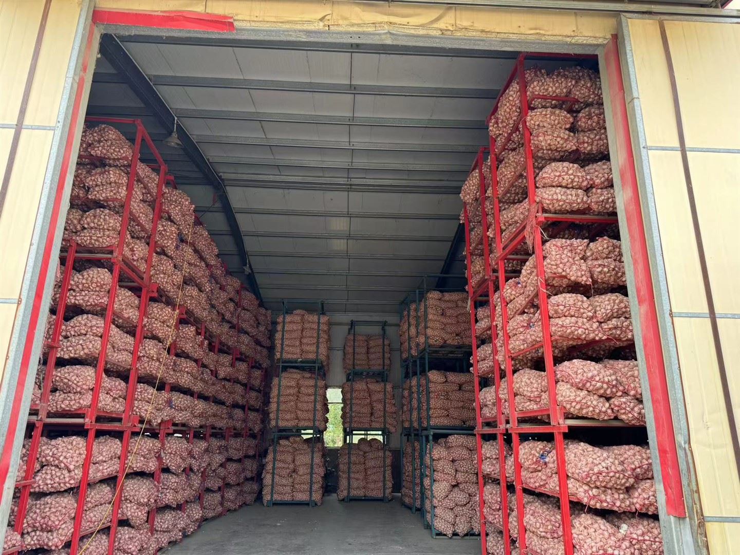 Bawang Putih yang disimpan