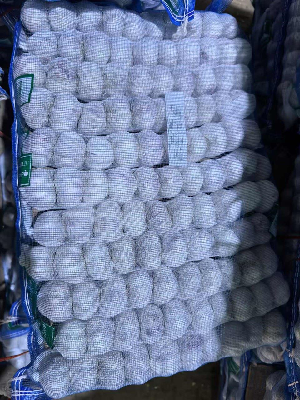 Bawang Putih berkulit Ungu yang dibungkus